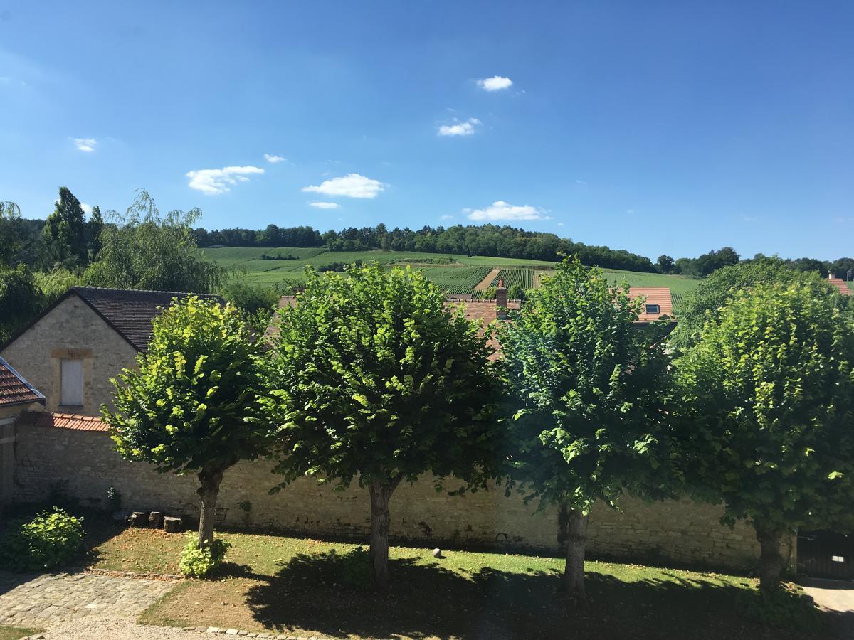 Le Chateau D'Hermonville B&B / Chambres D'Hotes Екстериор снимка